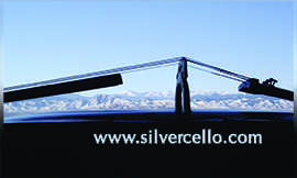 Silver Ainom&auml;e business card back